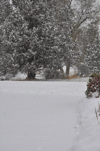 10 minutes after shoveling the driveway it was white again!