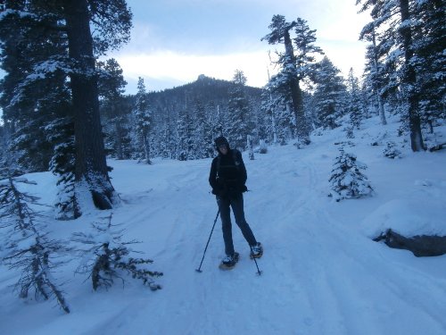 1 Sport Trail.JPG