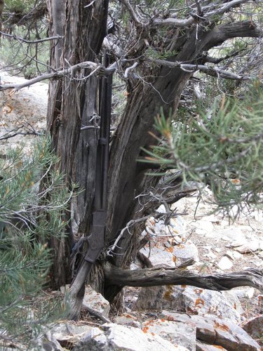 find the gun