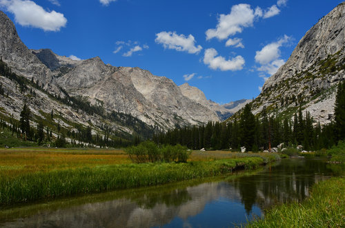 Gorgeous Grouse Meadow