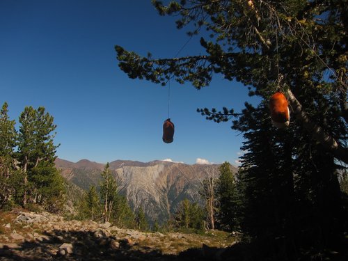 They Forest Service doesn't even talk about food storage here,  still hang to prevent loss to little critters