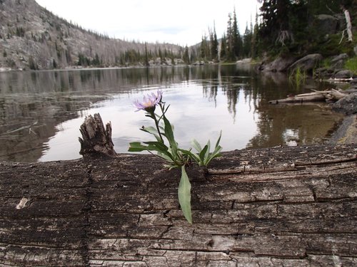 Long Lake
