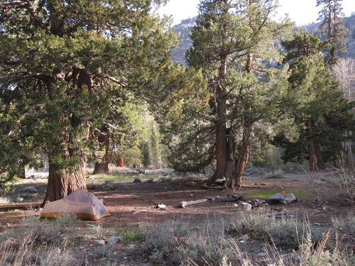 San Joaquin Campsite