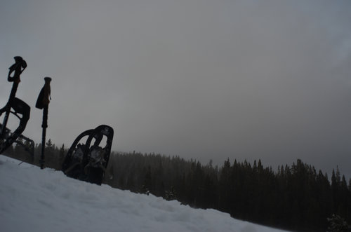 Since it was too cold to get out of the tent during the snow shower I took this shot through the front without every crawling out of my sleeping bag. Really goes to show how important a nice shelter is during the winter!