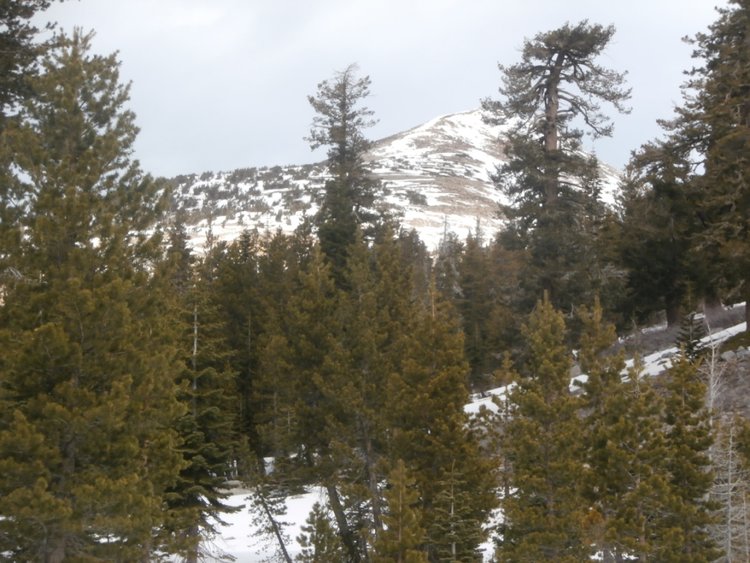 3 Half Way Summit.JPG