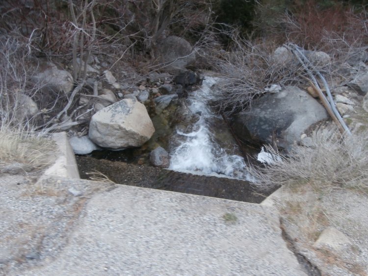 4 South Creek.JPG