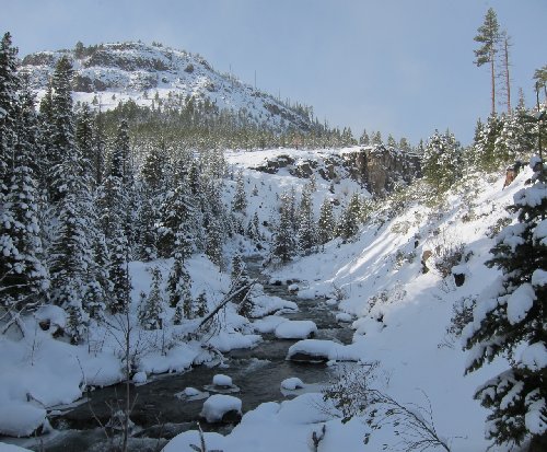 Tumalo Creek just below Tumalo Falls