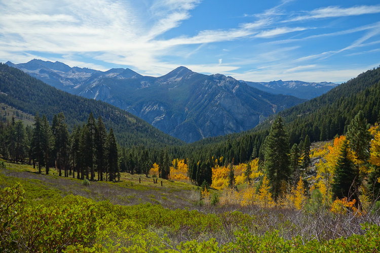 Looking South to the Sphinx Crest from Copper Creek Trail