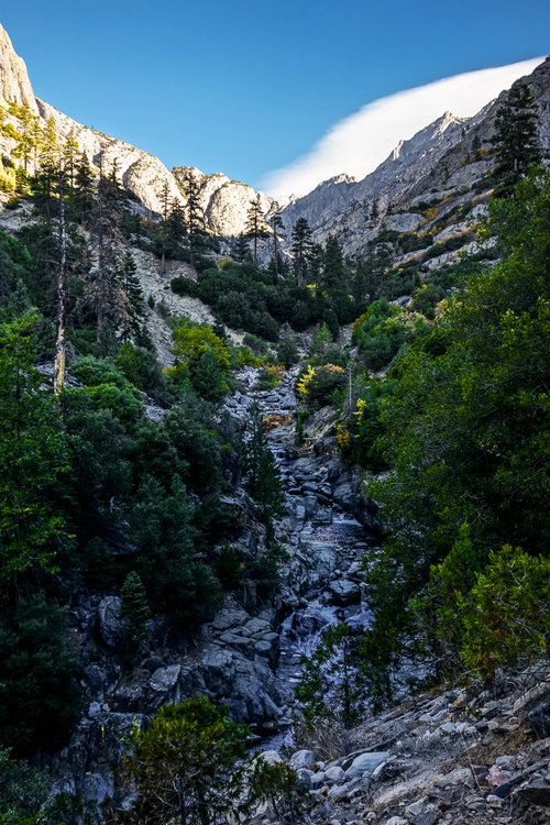 Cartridge Creek