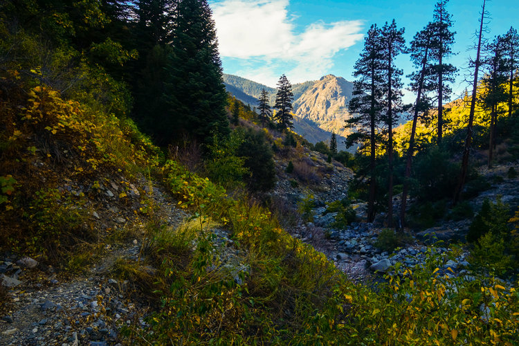Looking back down the valley