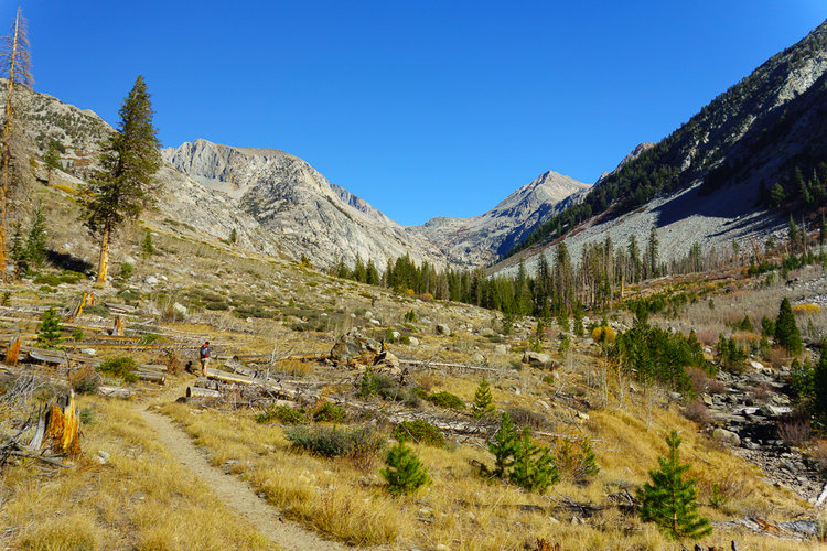 Palisade Creek JMT