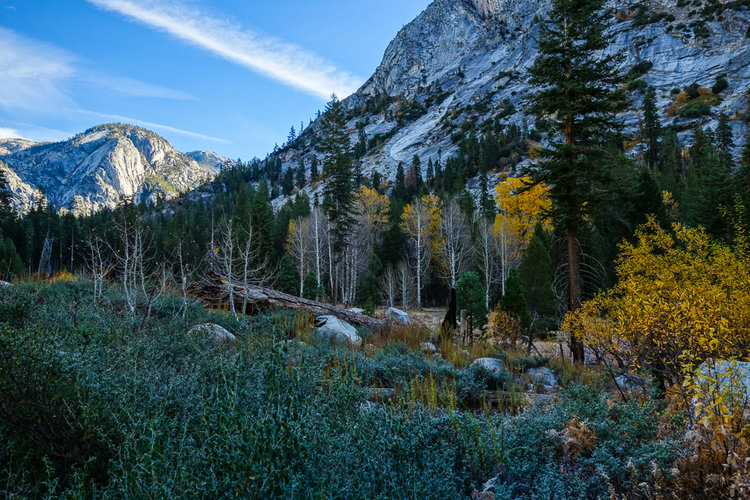 Chilly Woods Creek Valley