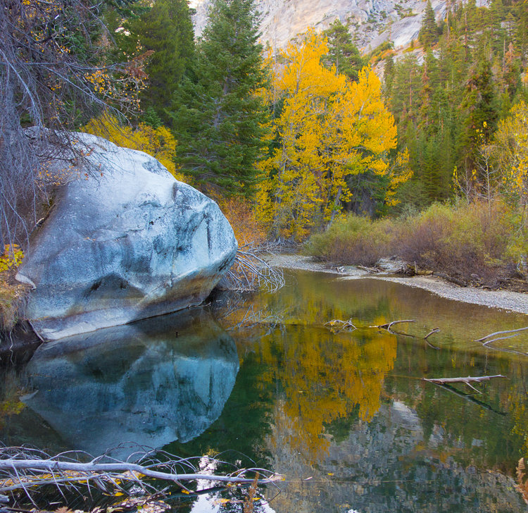 Woods Creek Reflection