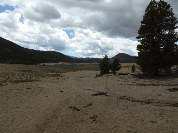Mulkey Meadows, left to Templeton, right to Tunnel