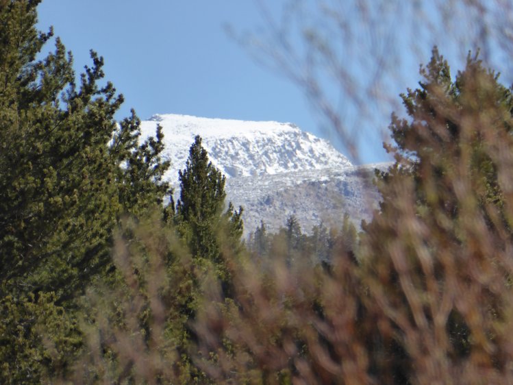 Mt Langley from Golden Trout Creek trail