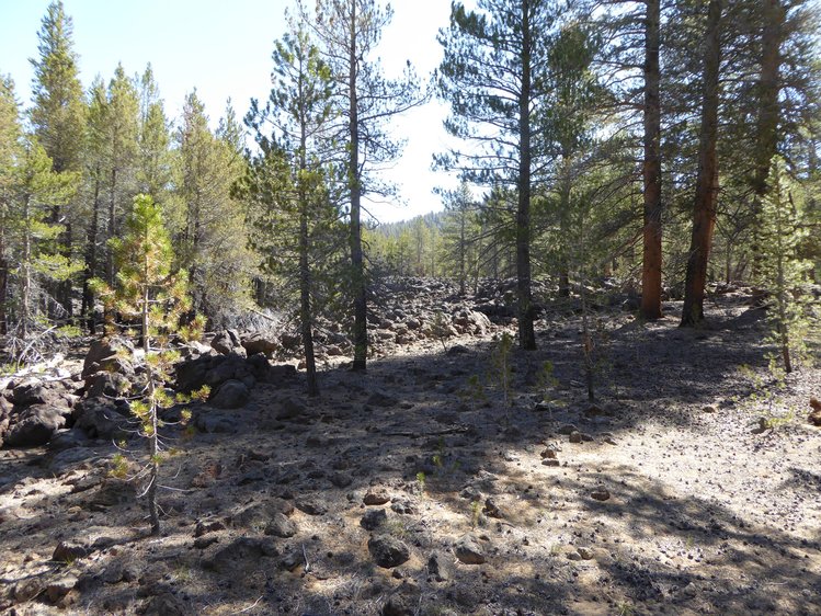 Lava flow near Golden Trout Creek
