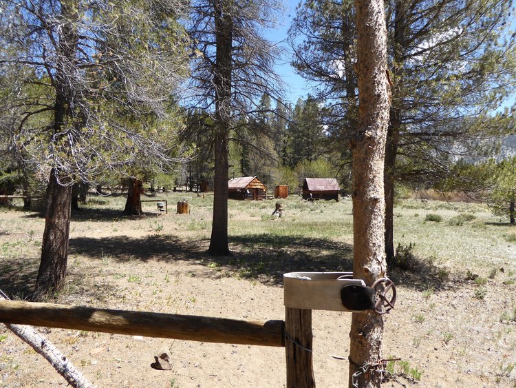 Little Whitney cow camp