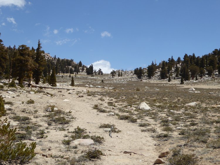 Cottonwood Pass in sight