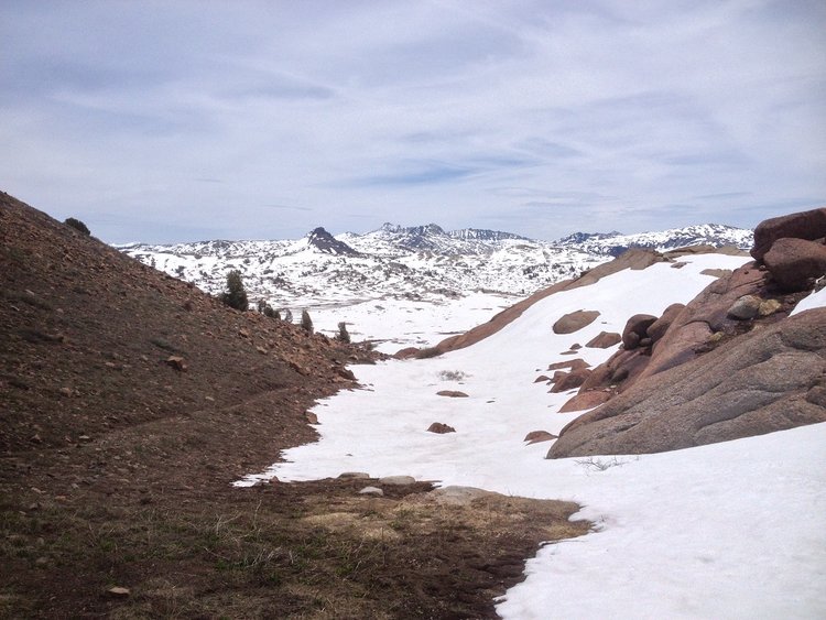 top of Brown Bear Pass