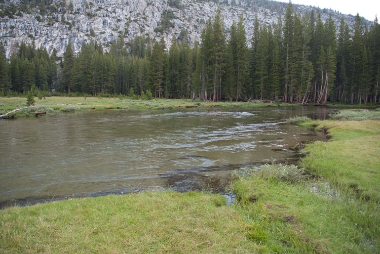 Evolution Creek meadow crossing July 2011