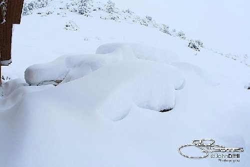 _MG_6173.jpg