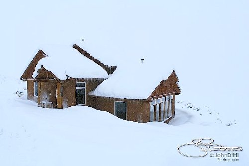 _MG_6175.jpg