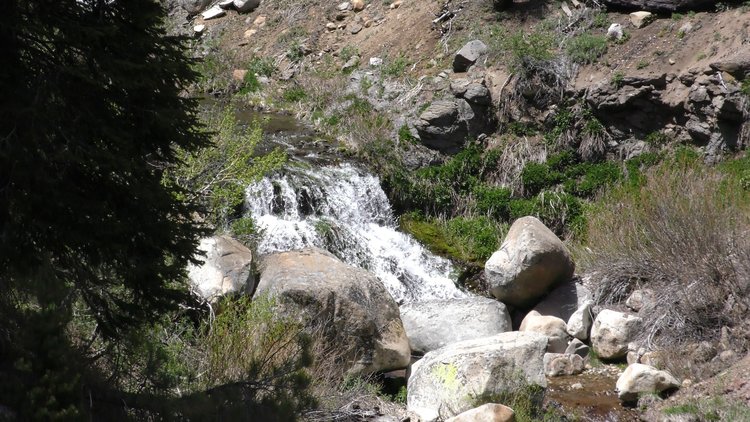 Small falls on Rodgers Creek