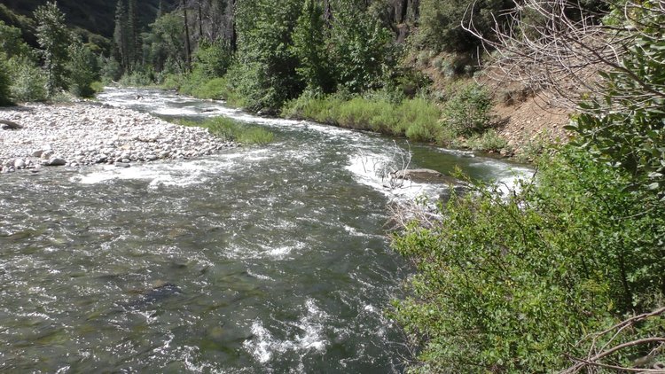 Hello Middle Fork!