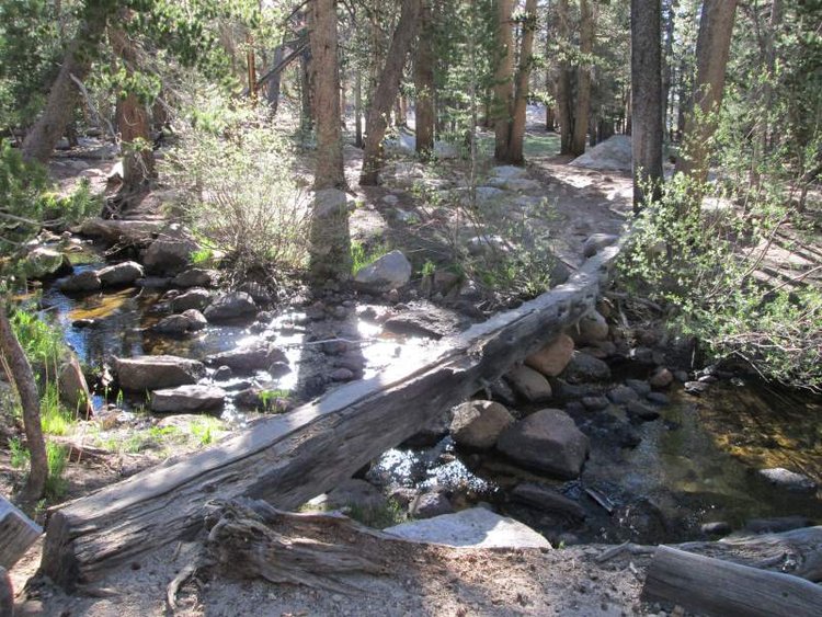 Creek_Crossing.JPG