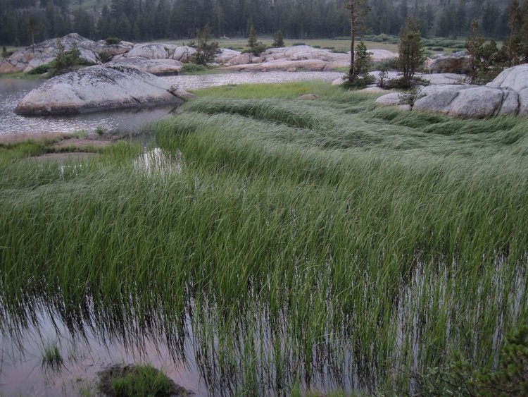 Upper Relief Valley