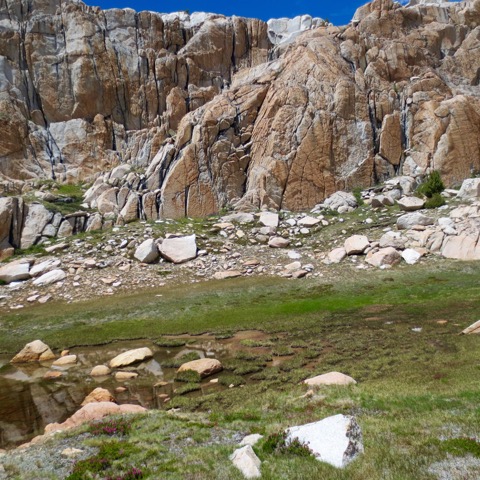 Meadow in Bear Basin