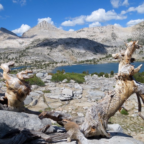 Marie Lakes