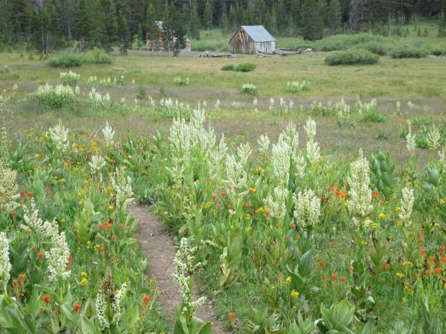 Meiss Cabin