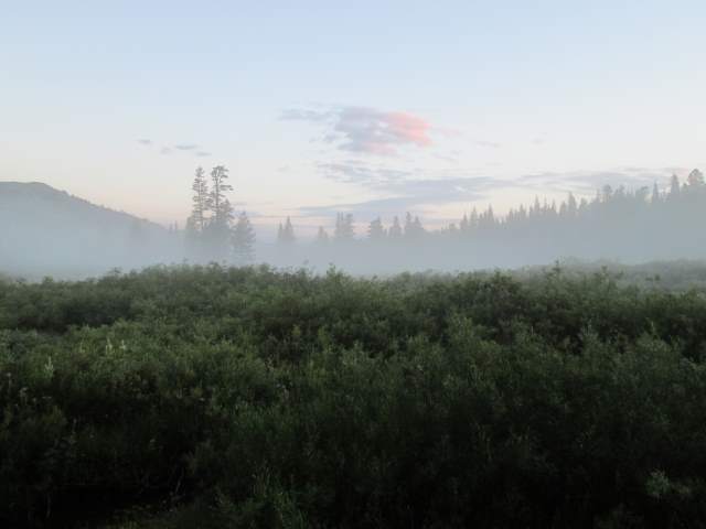 Meiss Meadow at daybreak (day 3)
