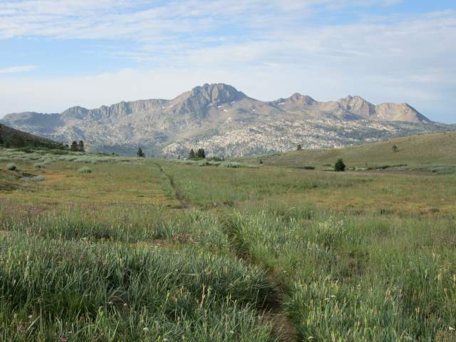 Looking south toward Carson Pass