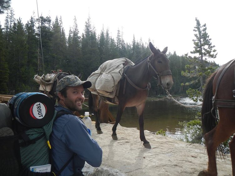 mules.jpg