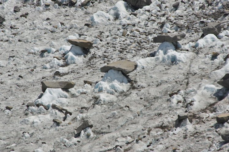 what I'm (likely inaccurately) calling toadstools
