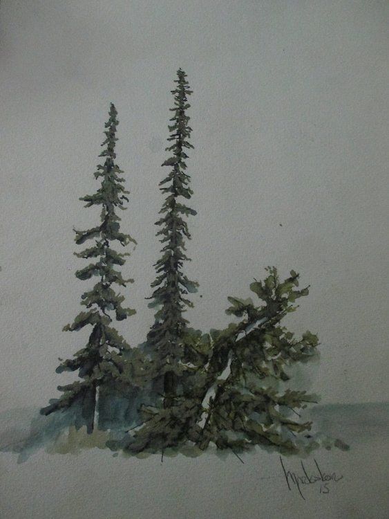 tree 2.jpg