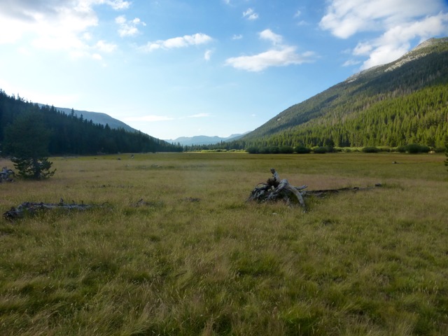 P1090156.jpg