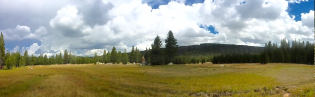 meadows along the way
