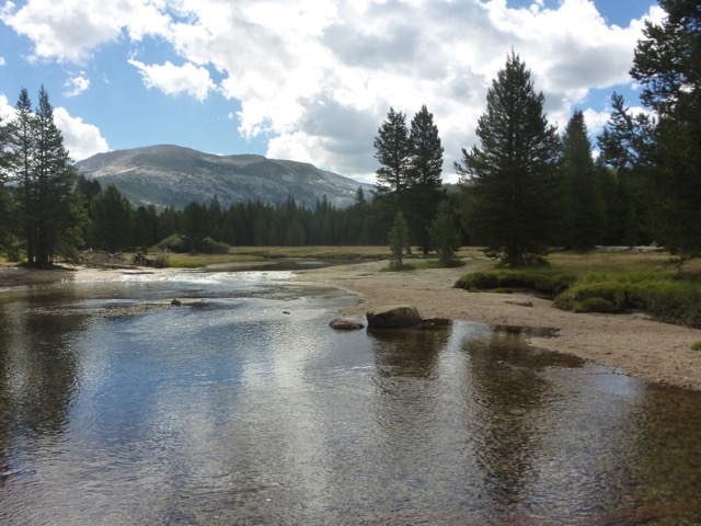 the Lyell Fork runs parallel to the trail off and on for miles