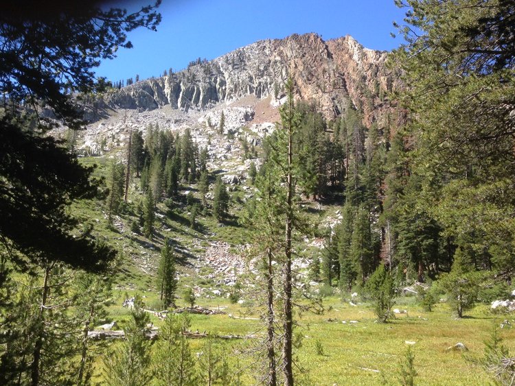 Meadow before the final climb