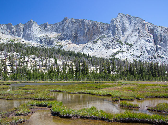Meadows near Nelson Lake