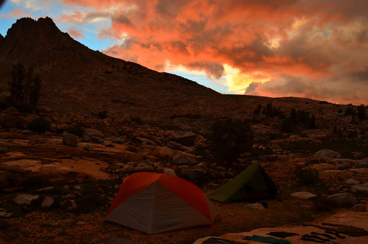 DSC_8726.jpg