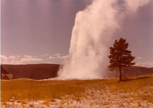 Yellowstone Gyser.jpg
