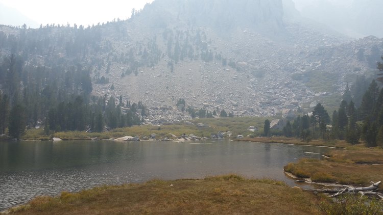 Flower Lake 9-5 PM