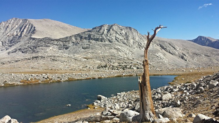 Mount Barnard from one of the Wright Lakes