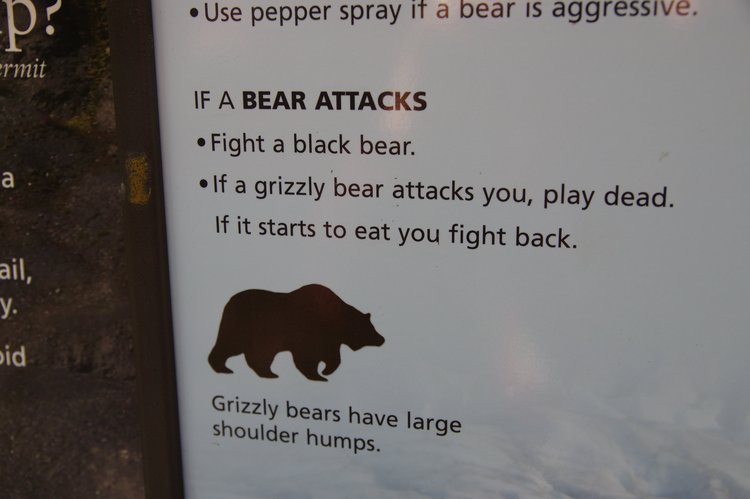 Grizzly warning