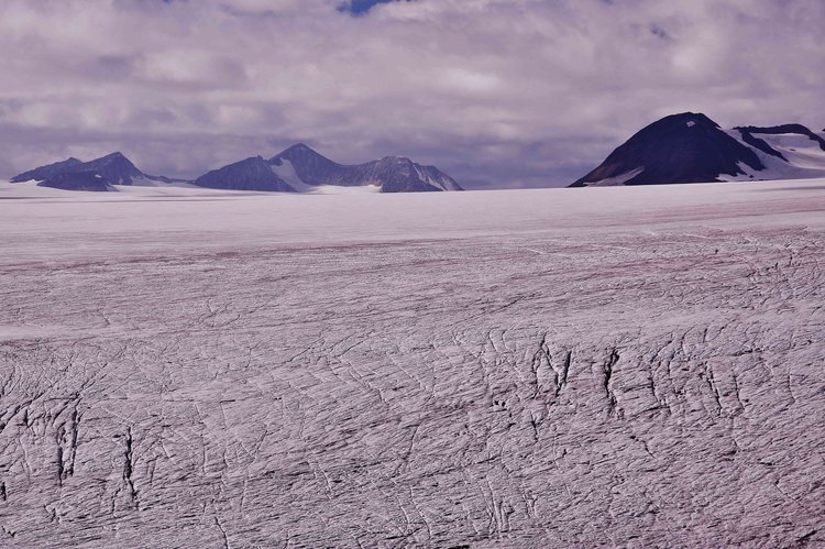 Harding Icefield