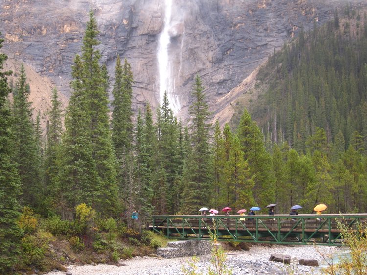 Takakkaw Falls and Tour Group